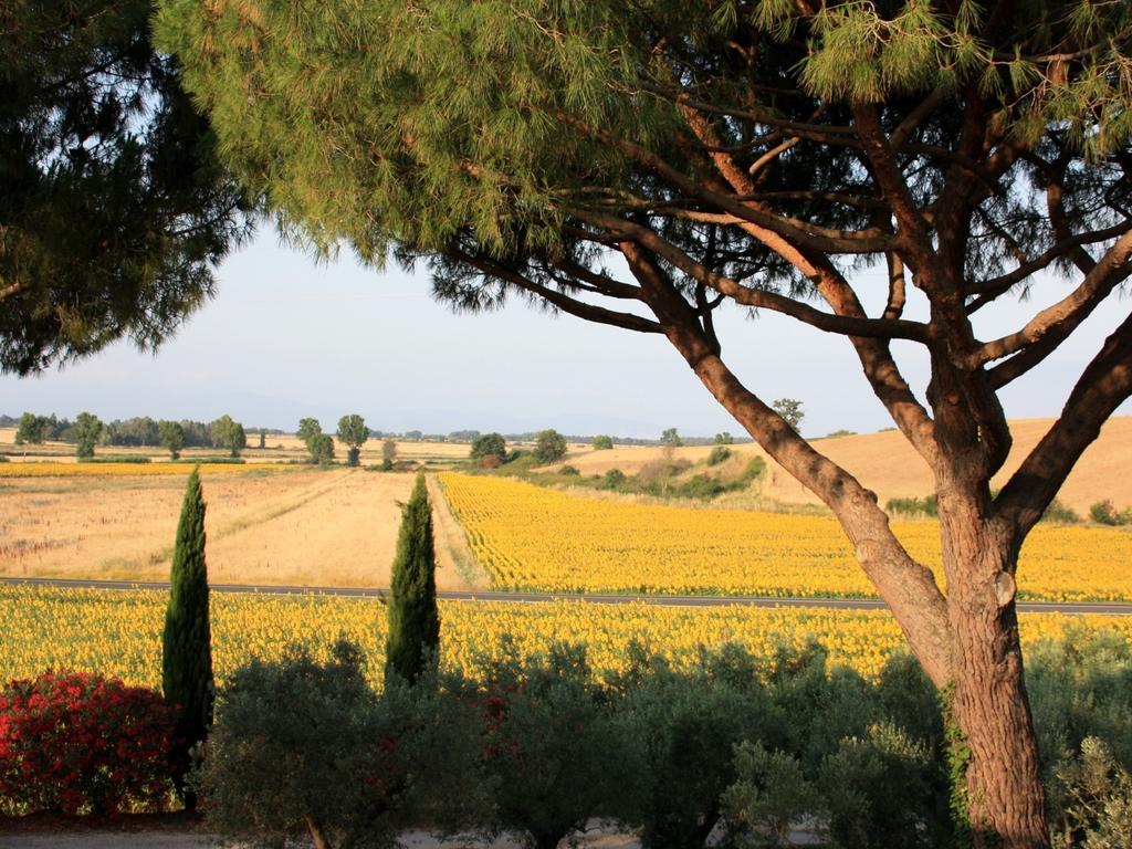Agriturismo Peretti Fonteblanda Kültér fotó