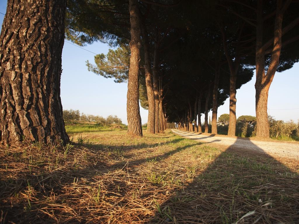 Agriturismo Peretti Fonteblanda Kültér fotó